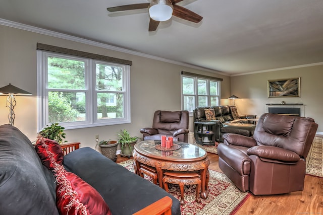 20 Canterbury Rd Unit 20, Hamden, CT 06514 - living area featuring light wood-style flooring, a ceiling fan, and ornamental molding