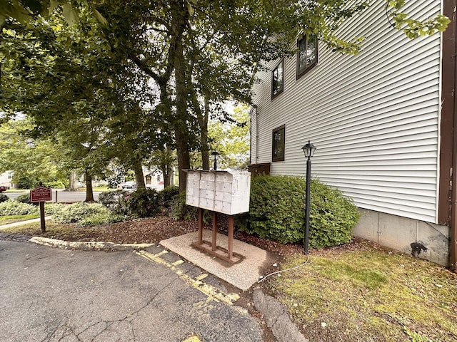 529 Woodward Ave Apt C, New Haven, CT 06512 - view of yard with mail area