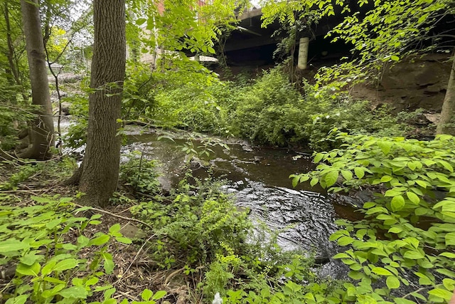 92 Milardo Ln, Middletown, CT 06457 - view of nature