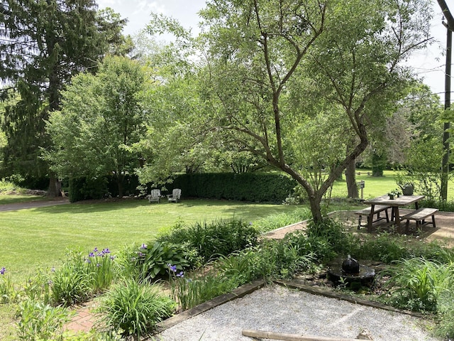 70 River Rd, East Haddam, CT 06423 - view of home's community with a yard