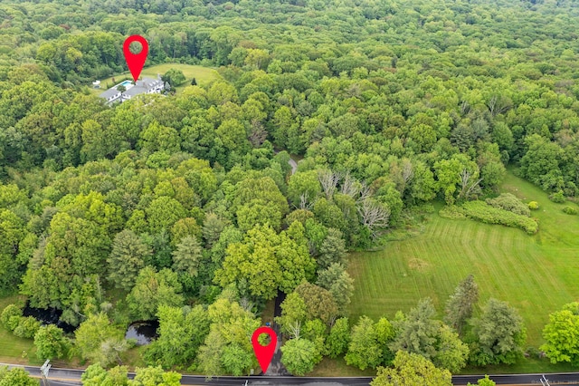 184 Fern Ave, Litchfield, CT 06759 - bird's eye view of a forest