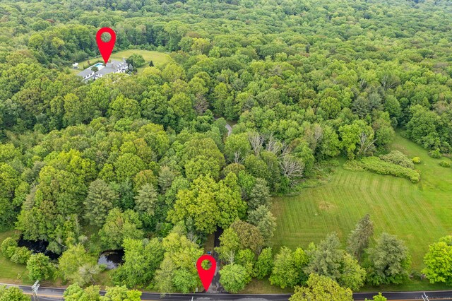 184 Fern Ave, Litchfield, CT 06759 - photo 18