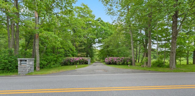 184 Fern Ave, Litchfield, CT 06759 - photo 35