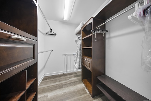 108 Hamburg Rd, Lyme, CT 06371 - walk in closet with light wood-style flooring