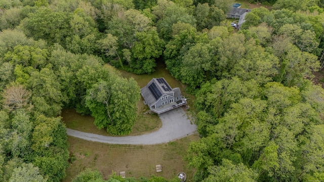 108 Hamburg Rd, Lyme, CT 06371 - view of subject property featuring a heavily wooded area