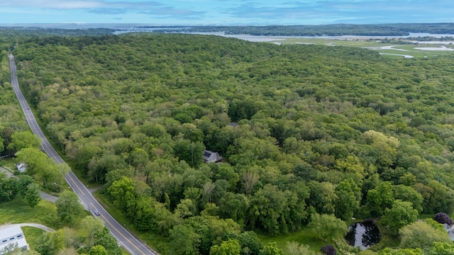 108 Hamburg Rd, Lyme, CT 06371 - aerial view of a forest and a nearby body of water