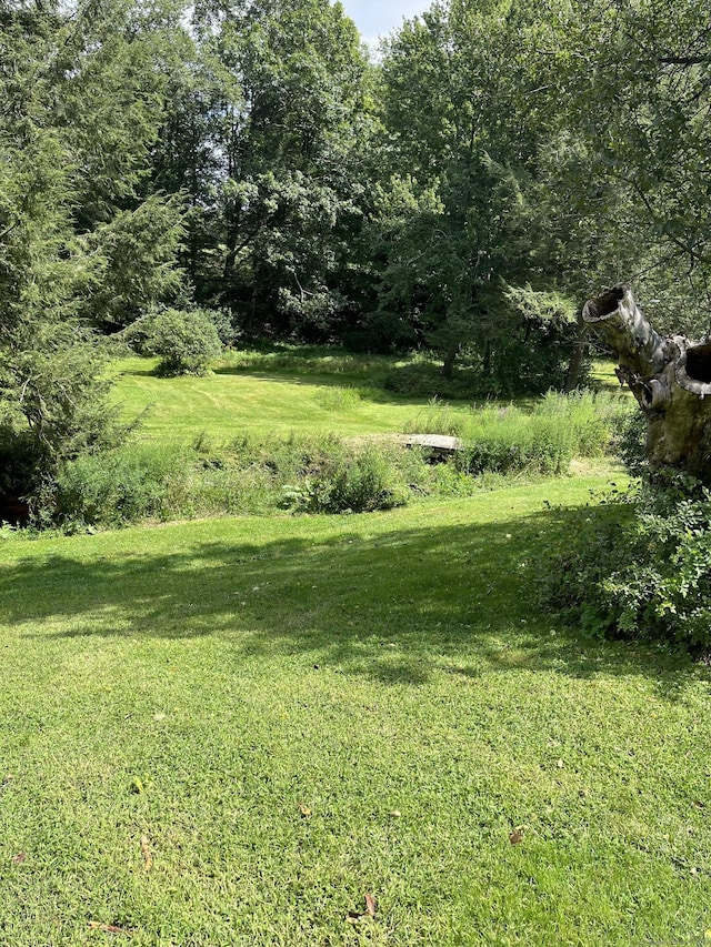 47 Devaux Rd, Torrington, CT 06790 - view of green lawn