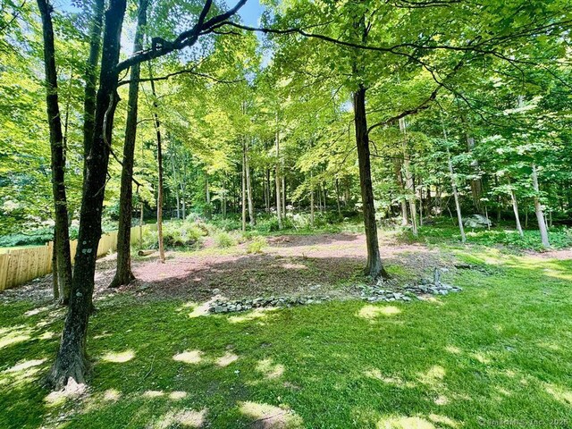 687 Sprout Brook Rd, Putnam Valley, NY 10579 - view of yard