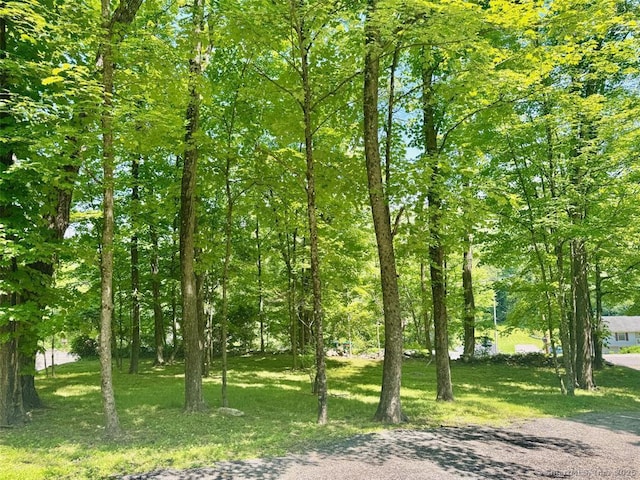 687 Sprout Brook Rd, Putnam Valley, NY 10579 - view of undeveloped land