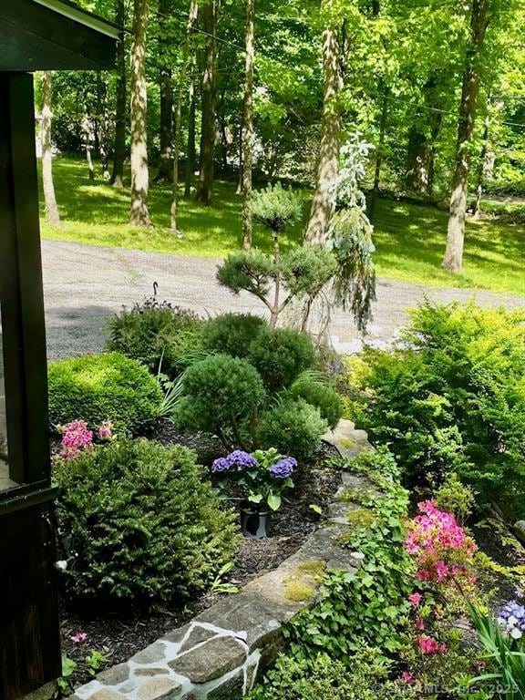 687 Sprout Brook Rd, Putnam Valley, NY 10579 - view of yard
