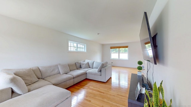5 Old Village Cir, Windsor, CT 06095 - living room with light wood-style floors