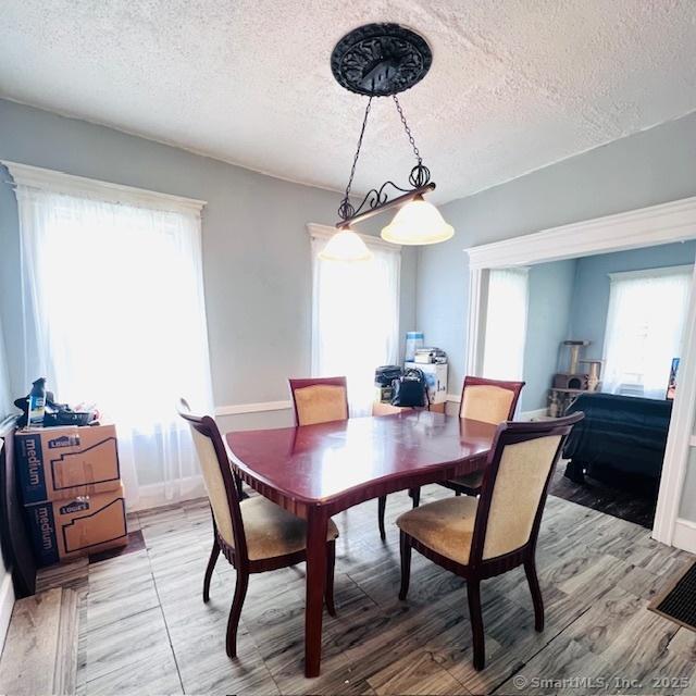 22 Webb St, Hamden, CT 06517 - dining area featuring a textured ceiling, healthy amount of natural light, light wood-style flooring, and baseboards