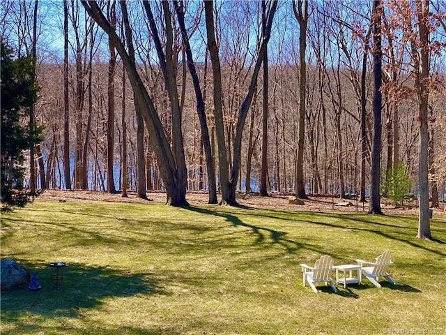 58 Lantern Ridge Rd, New Canaan, CT 06840 - view of grassy yard