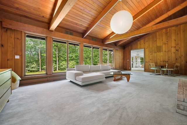 58 Lantern Ridge Rd, New Canaan, CT 06840 - living room with wooden walls, wood ceiling, and carpet