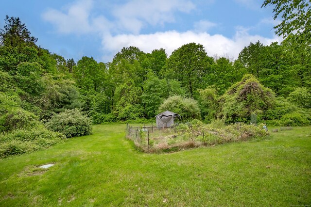 407 Monson Rd, Wilbraham, MA 01095 - view of green lawn with a wooded view
