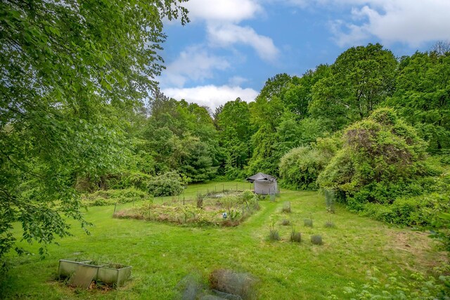 407 Monson Rd, Wilbraham, MA 01095 - view of grassy yard featuring a wooded view and an outdoor structure