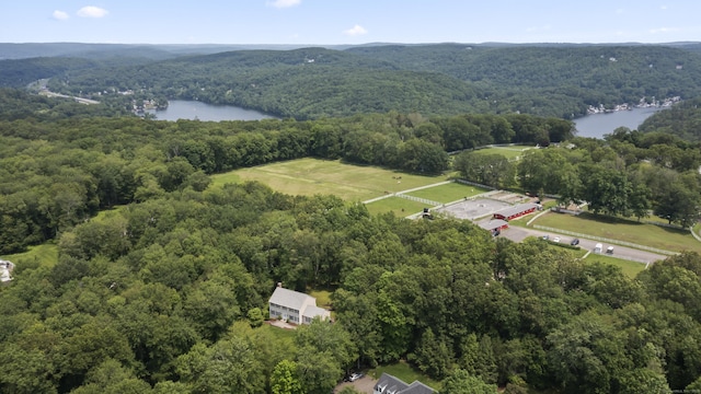 8 Stone Gate Dr, Newtown, CT 06482 - drone / aerial view of a heavily wooded area and a large body of water