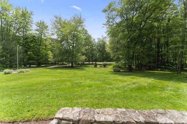 8 Stone Gate Dr, Newtown, CT 06482 - view of green lawn