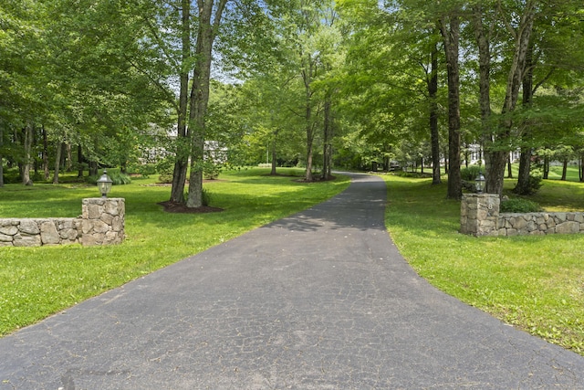 8 Stone Gate Dr, Newtown, CT 06482 - surrounding community featuring a yard, view of wooded area, and driveway