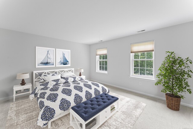 8 Stone Gate Dr, Newtown, CT 06482 - bedroom with carpet flooring