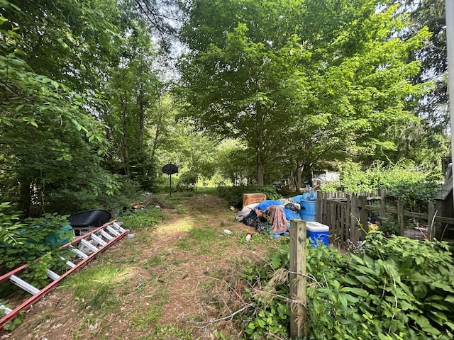 53 Falls Bashan Rd, East Haddam, CT 06469 - view of yard
