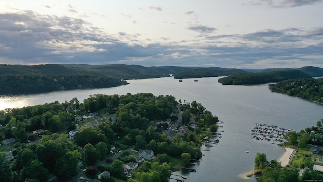 20 N Lake Shore Dr, Brookfield, CT 06804 - bird's eye view of a nearby body of water and a forest