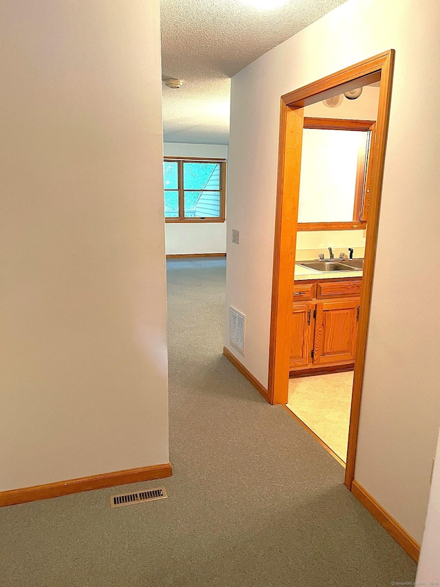 366 Ash St # 31, Windham, CT 06226 - hall with a sink, baseboards, light colored carpet, and a textured ceiling