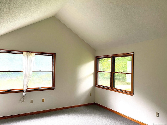 366 Ash St # 31, Windham, CT 06226 - carpeted spare room featuring lofted ceiling, baseboards, and a textured ceiling
