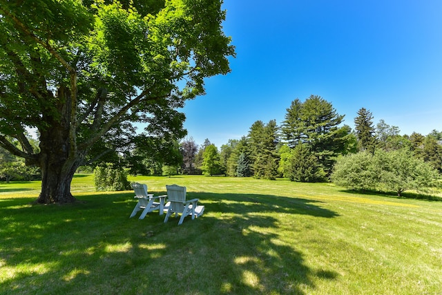 11 Mountain Spring Rd, Farmington, CT 06032 - photo 8