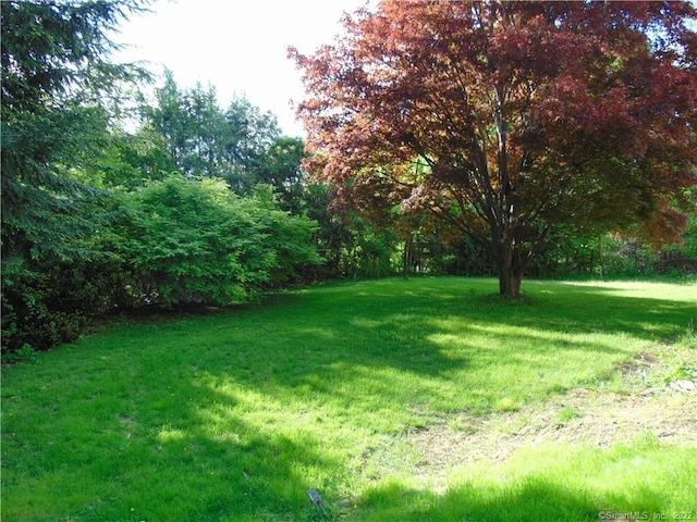 77 Washington Ave, Seymour, CT 06483 - photo 29