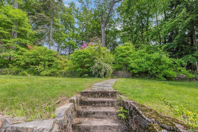 73 Hemlock Rd, New Haven, CT 06515 - view of yard