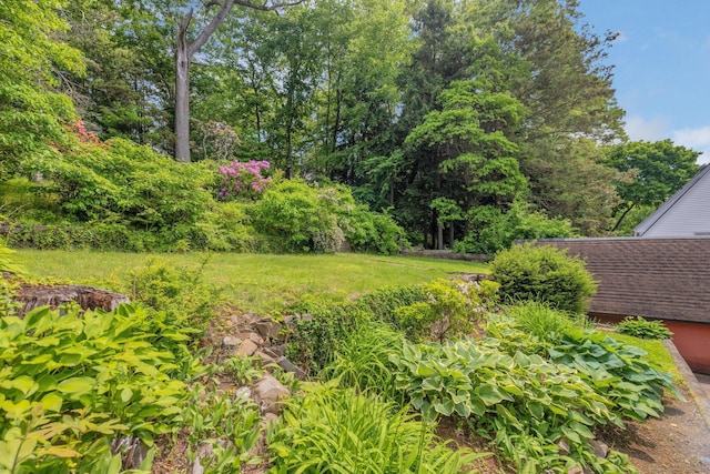 73 Hemlock Rd, New Haven, CT 06515 - view of yard