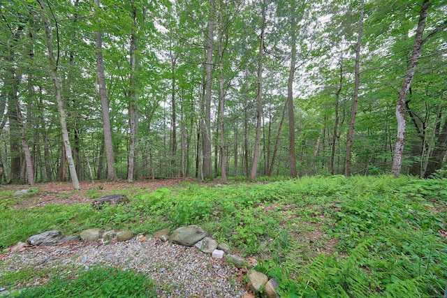 26 Evergreen Rd Unit 26, Torrington, CT 06790 - view of yard featuring a view of trees