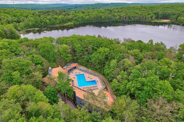 26 Evergreen Rd Unit 26, Torrington, CT 06790 - bird's eye view of a heavily wooded area, a pool area, and a large body of water