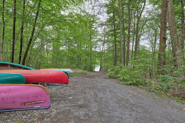 26 Evergreen Rd Unit 26, Torrington, CT 06790 - surrounding community featuring a view of trees