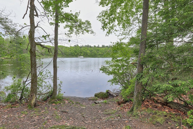 26 Evergreen Rd Unit 26, Torrington, CT 06790 - water view featuring a heavily wooded area