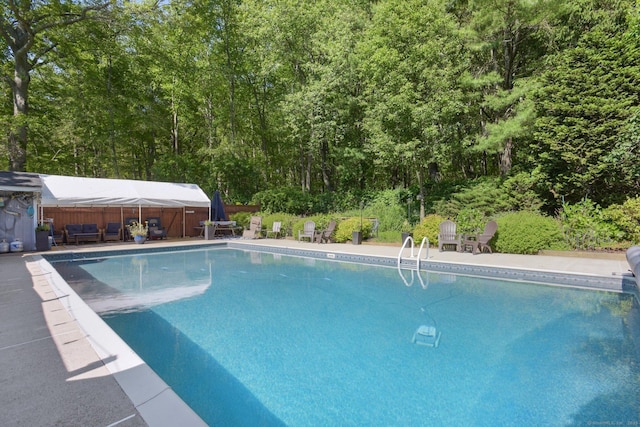 56 Giants Neck Rd, East Lyme, CT 06357 - swimming pool featuring a wooded view