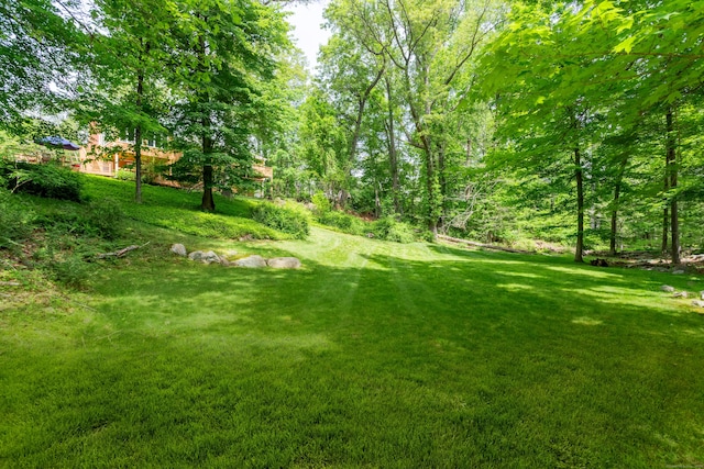 21 Forest Rd, Weston, CT 06883 - view of green lawn