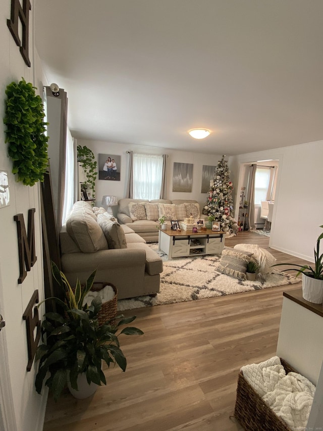 455 Middletown Ave, Wethersfield, CT 06109 - living room featuring healthy amount of natural light and wood finished floors