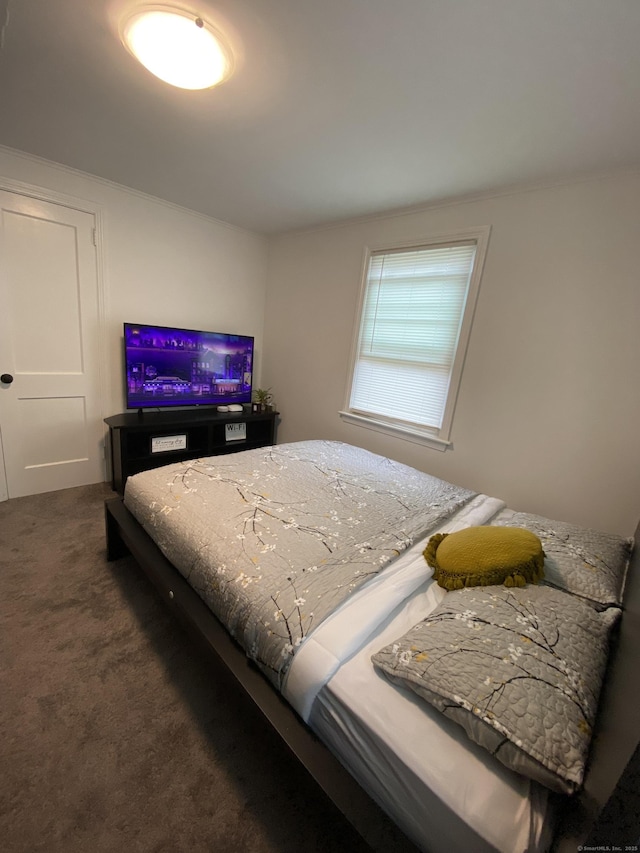 455 Middletown Ave, Wethersfield, CT 06109 - view of carpeted bedroom