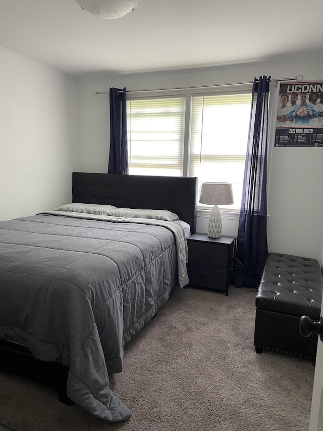 455 Middletown Ave, Wethersfield, CT 06109 - view of carpeted bedroom