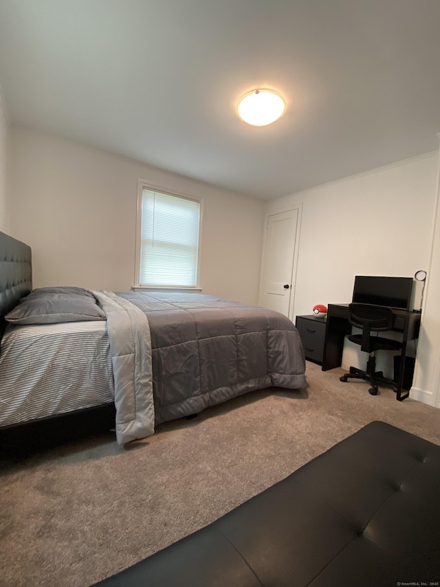 455 Middletown Ave, Wethersfield, CT 06109 - bedroom with carpet floors