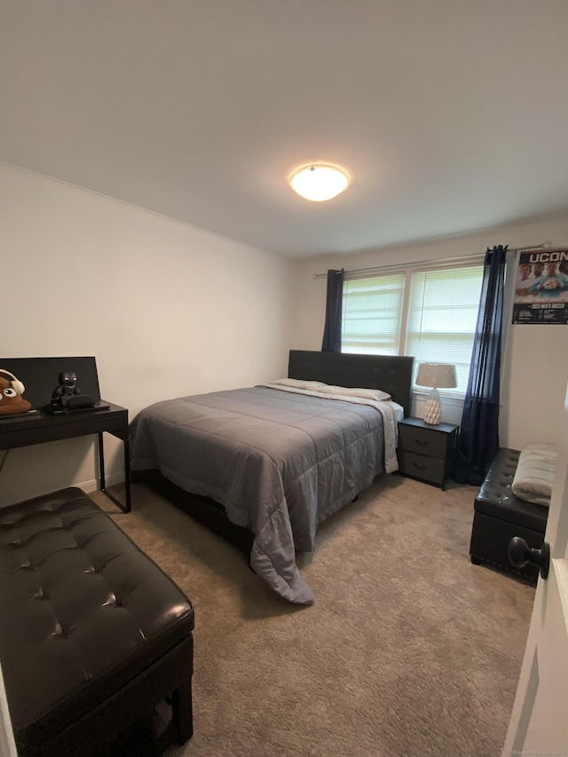 455 Middletown Ave, Wethersfield, CT 06109 - bedroom with carpet floors