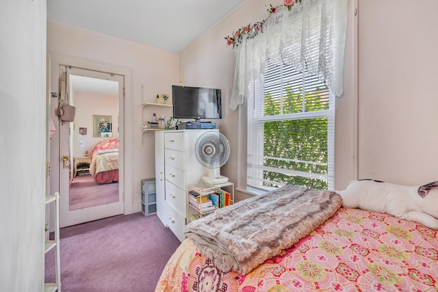 15 Dartley St, Stamford, CT 06905 - view of carpeted bedroom
