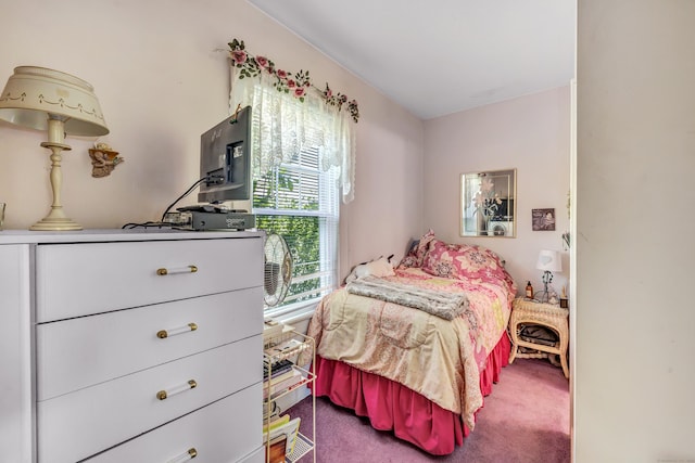 15 Dartley St, Stamford, CT 06905 - view of carpeted bedroom