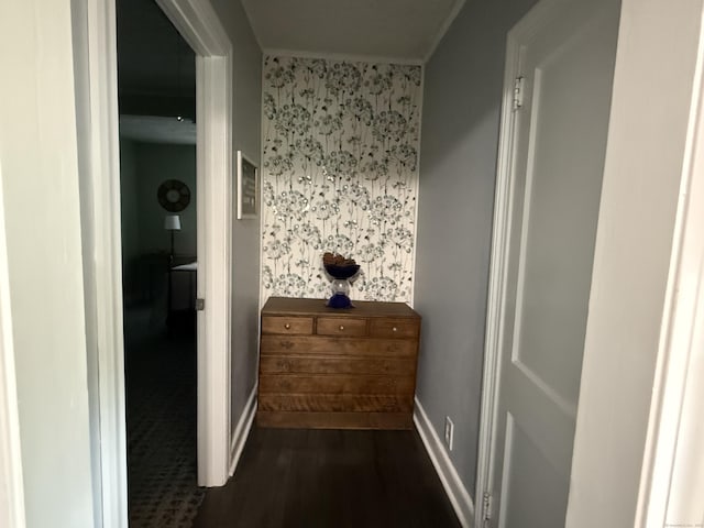39 Swain Ave, Meriden, CT 06450 - hall featuring dark wood-style flooring, baseboards, and ornamental molding