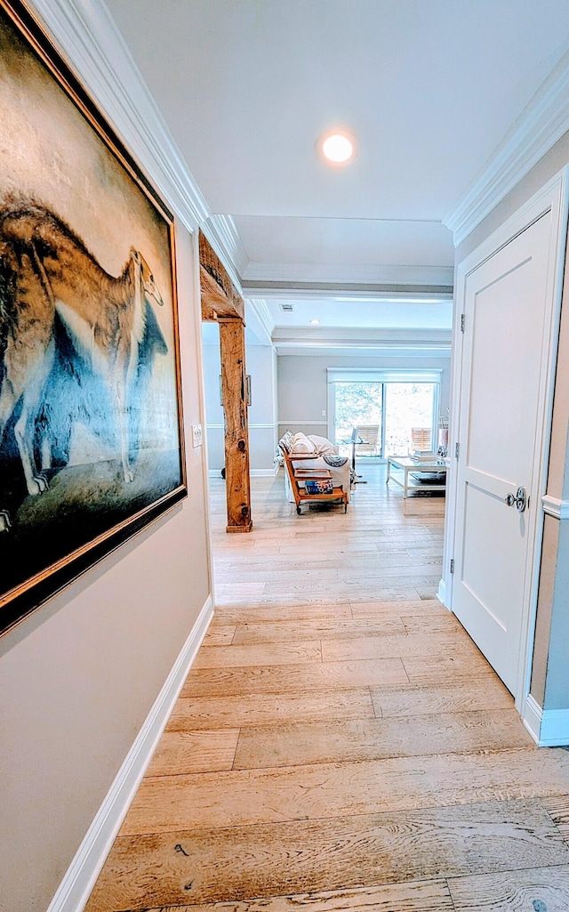 1036 Heritage Vlg Unit A, Southbury, CT 06488 - corridor with ornamental molding, wood finished floors, baseboards, and recessed lighting