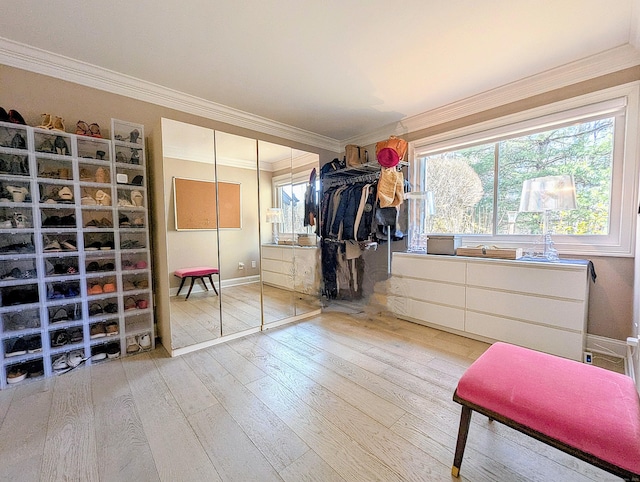 1036 Heritage Vlg Unit A, Southbury, CT 06488 - spacious closet with light wood finished floors