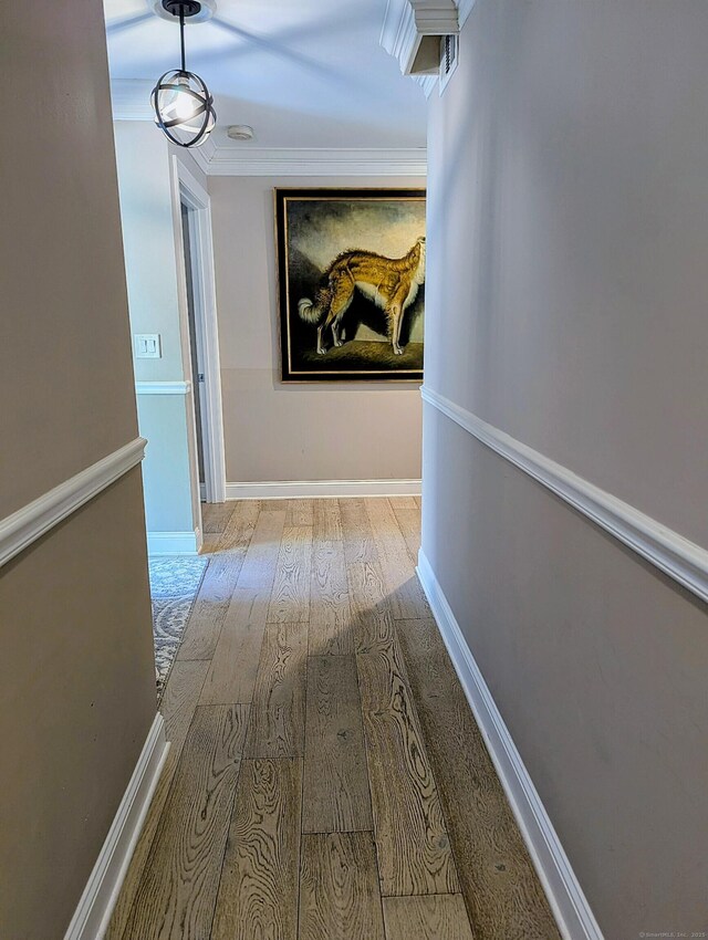 1036 Heritage Vlg Unit A, Southbury, CT 06488 - hallway featuring wood finished floors, ornamental molding, and baseboards
