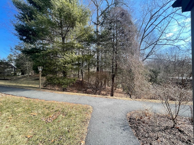1036 Heritage Vlg Unit A, Southbury, CT 06488 - view of community